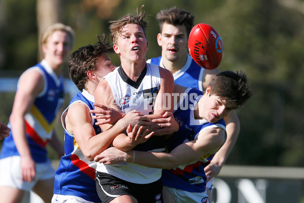 TAC 2016 Rd 14  - Northern Knights v Eastern Ranges - 457963