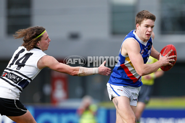 TAC 2016 Rd 14  - Northern Knights v Eastern Ranges - 457954