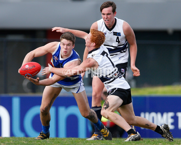 TAC 2016 Rd 14  - Northern Knights v Eastern Ranges - 457970