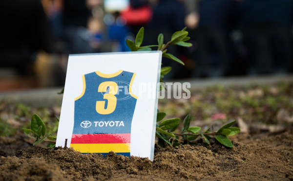 Adelaide 2016 - Toyota Tree Day - 458414