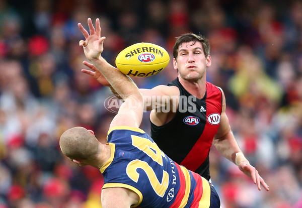 AFL 2016 Rd 19 - Adelaide v Essendon - 459714