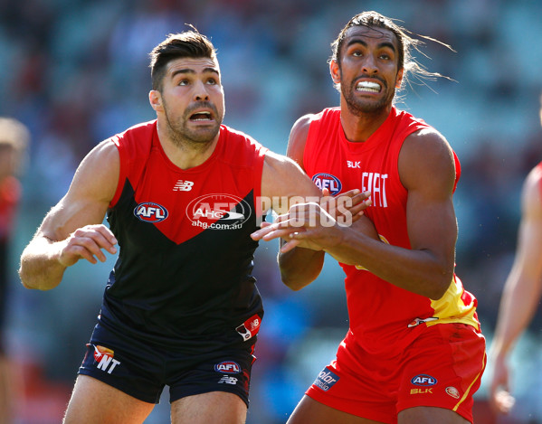 AFL 2016 Rd 19 - Melbourne v Gold Coast - 459770