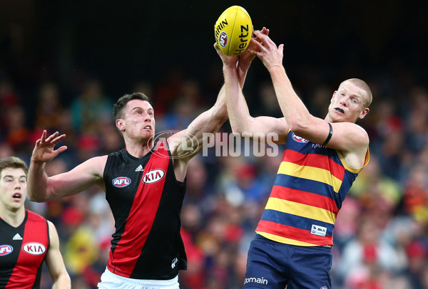 AFL 2016 Rd 19 - Adelaide v Essendon - 459818