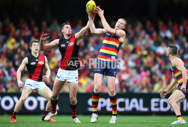 AFL 2016 Rd 19 - Adelaide v Essendon - 459819