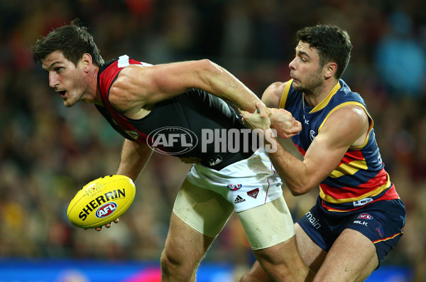 AFL 2016 Rd 19 - Adelaide v Essendon - 459982