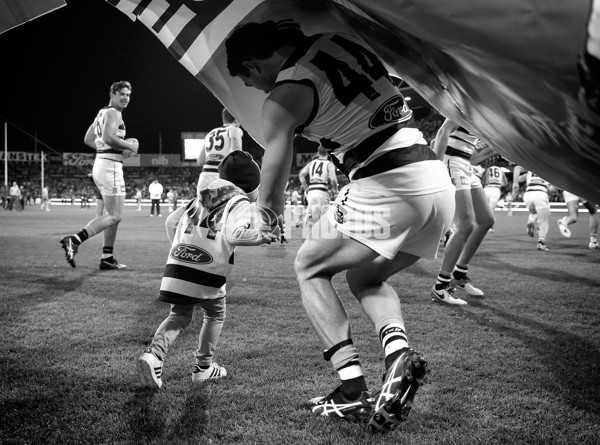 AFL 2016 Rd 19 - Geelong v Western Bulldogs - 460061