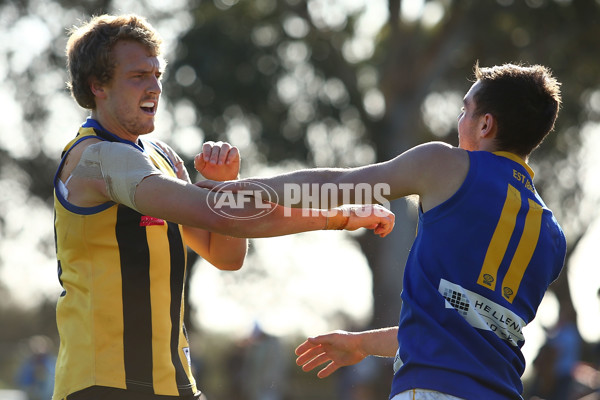 VFL 2016 Rd 17 - Sandringham v Williamstown - 460073