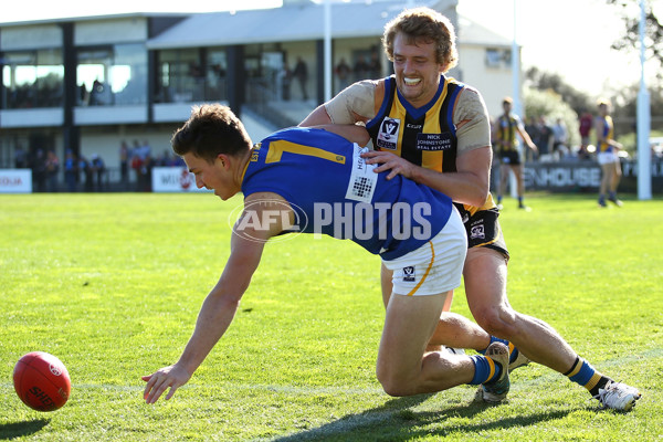 VFL 2016 Rd 17 - Sandringham v Williamstown - 460070