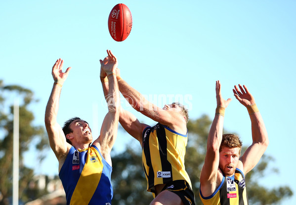 VFL 2016 Rd 17 - Sandringham v Williamstown - 460094