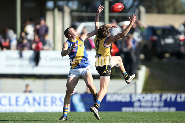 VFL 2016 Rd 17 - Sandringham v Williamstown - 460085