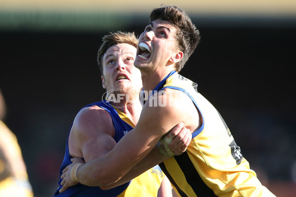 VFL 2016 Rd 17 - Sandringham v Williamstown - 460088