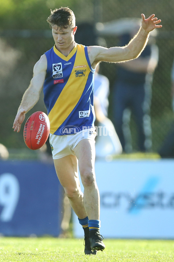 VFL 2016 Rd 17 - Sandringham v Williamstown - 460097