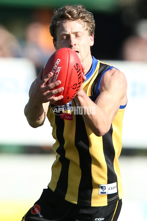 VFL 2016 Rd 17 - Sandringham v Williamstown - 460084