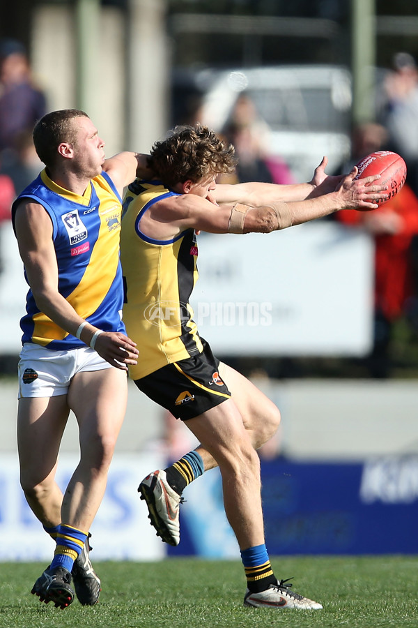 VFL 2016 Rd 17 - Sandringham v Williamstown - 460082