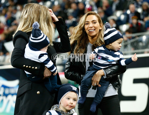 AFL 2016 Rd 19 - Geelong v Western Bulldogs - 460037