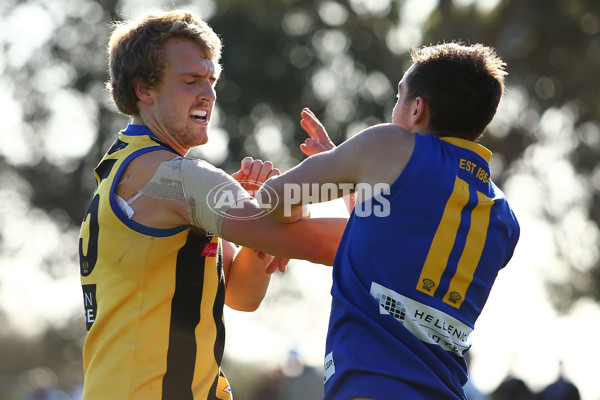 VFL 2016 Rd 17 - Sandringham v Williamstown - 460071