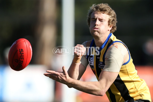 VFL 2016 Rd 17 - Sandringham v Williamstown - 460075