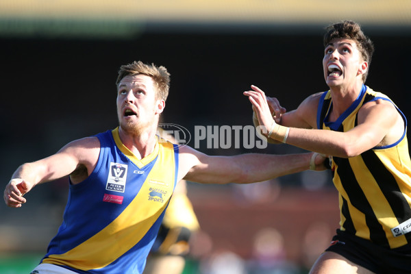 VFL 2016 Rd 17 - Sandringham v Williamstown - 460087