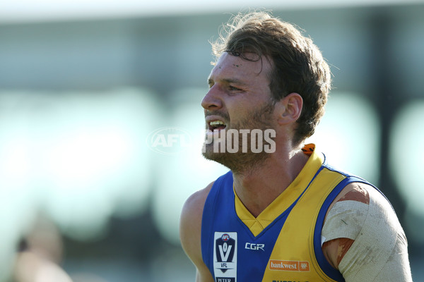 VFL 2016 Rd 17 - Sandringham v Williamstown - 460089