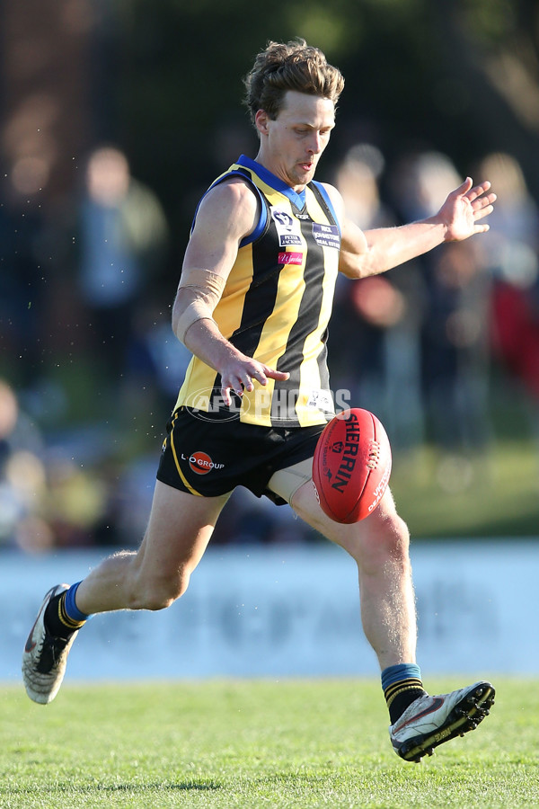 VFL 2016 Rd 17 - Sandringham v Williamstown - 460108