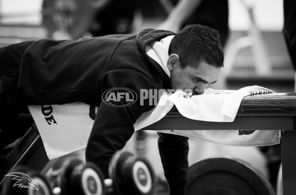 Adelaide 2016 Gym session - 460357