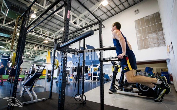 Adelaide 2016 Gym session - 460353