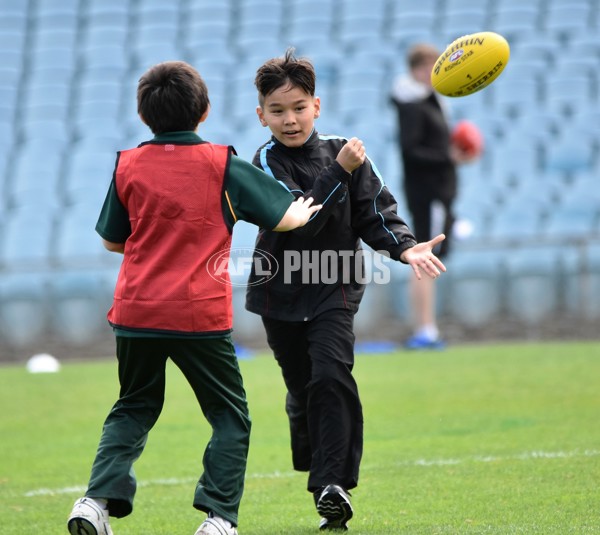 Adelaide 2016 Multicultural carnival - 460373