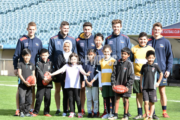 Adelaide 2016 Multicultural carnival - 460375