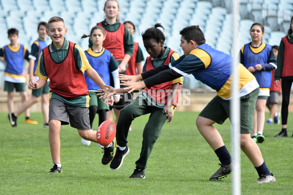 Adelaide 2016 Multicultural carnival - 460366