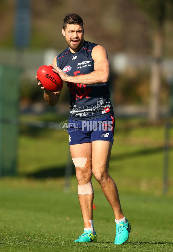 AFL 2016 Training - Melbourne 040816 - 460411