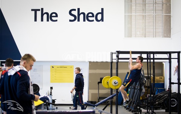 Adelaide 2016 Gym session - 460356
