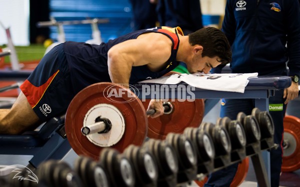 Adelaide 2016 Gym session - 460362