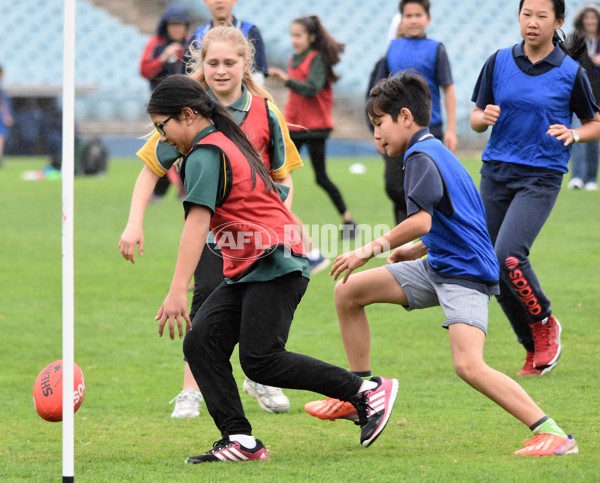 Adelaide 2016 Multicultural carnival - 460380
