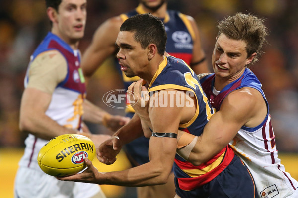 AFL 2016 Rd 20 - Adelaide v Brisbane - 461117