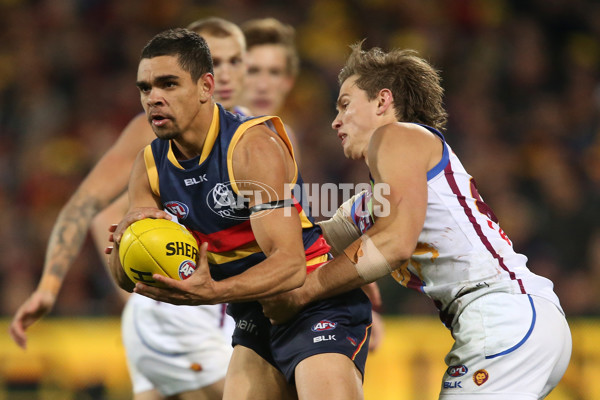 AFL 2016 Rd 20 - Adelaide v Brisbane - 461116