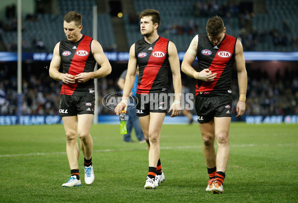 AFL 2016 Rd 20 - Geelong v Essendon - 461611