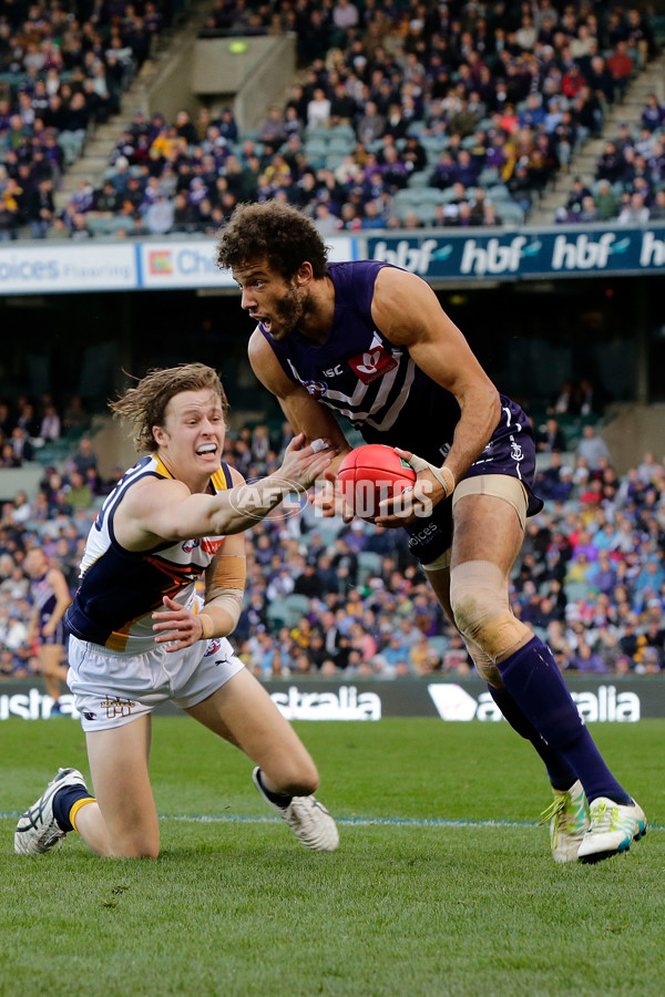 AFL 2016 Rd 20 - Fremantle v West Coast - 461691