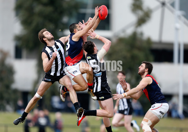 VFL 2016 Rd 18 - Collingwood v Coburg - 461717