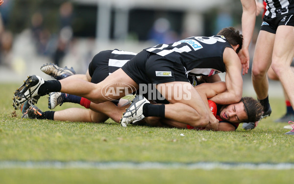 VFL 2016 Rd 18 - Collingwood v Coburg - 461724