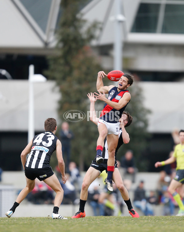 VFL 2016 Rd 18 - Collingwood v Coburg - 461737