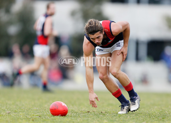 VFL 2016 Rd 18 - Collingwood v Coburg - 461731