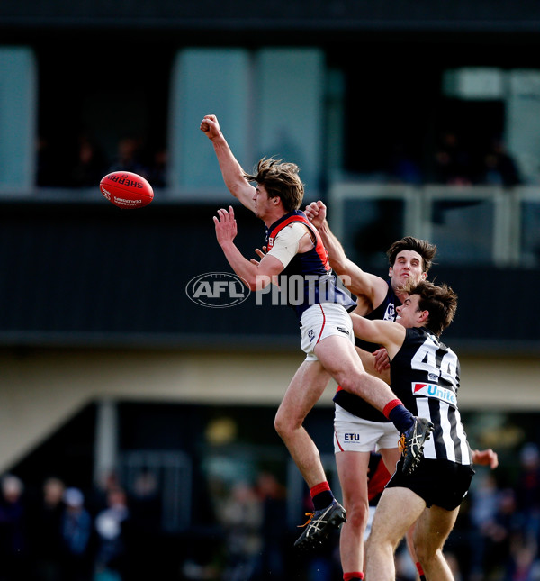 VFL 2016 Rd 18 - Collingwood v Coburg - 461748