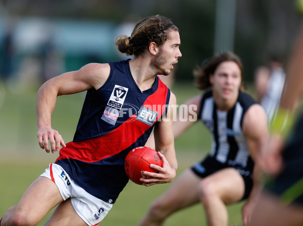 VFL 2016 Rd 18 - Collingwood v Coburg - 461747