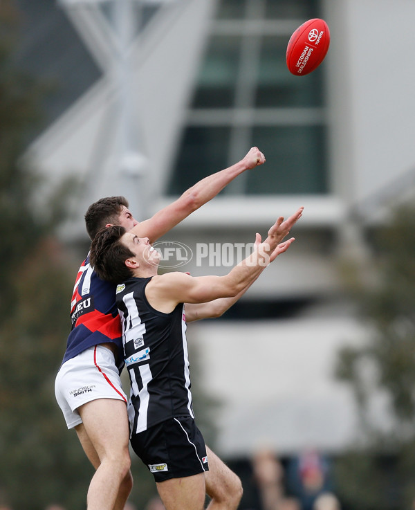 VFL 2016 Rd 18 - Collingwood v Coburg - 461763