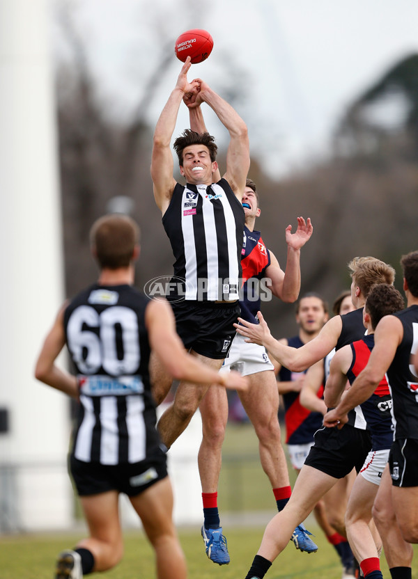 VFL 2016 Rd 18 - Collingwood v Coburg - 461760