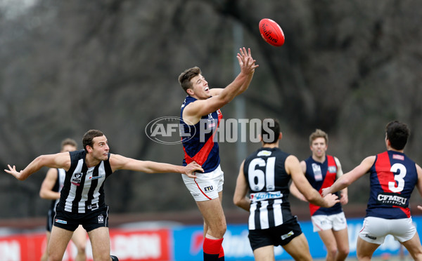 VFL 2016 Rd 18 - Collingwood v Coburg - 461730