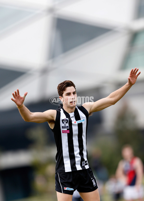 VFL 2016 Rd 18 - Collingwood v Coburg - 461716