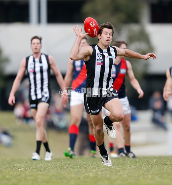 VFL 2016 Rd 18 - Collingwood v Coburg - 461726