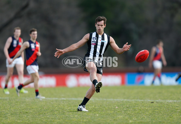 VFL 2016 Rd 18 - Collingwood v Coburg - 461740