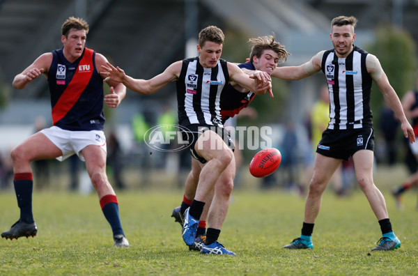 VFL 2016 Rd 18 - Collingwood v Coburg - 461742